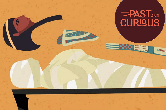 Past & curious